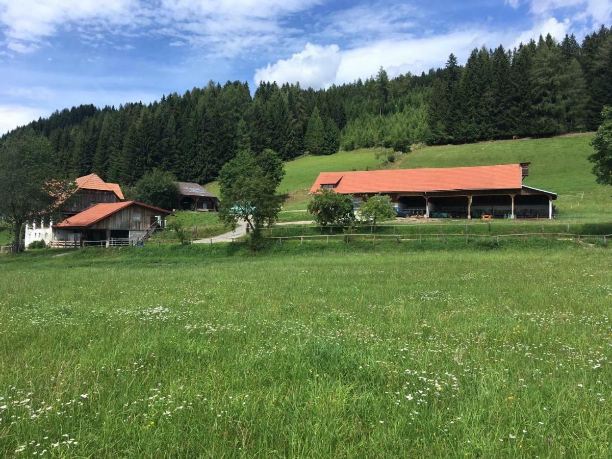 דירות מוהלן Urlaub Am Moarbauerhof מראה חיצוני תמונה